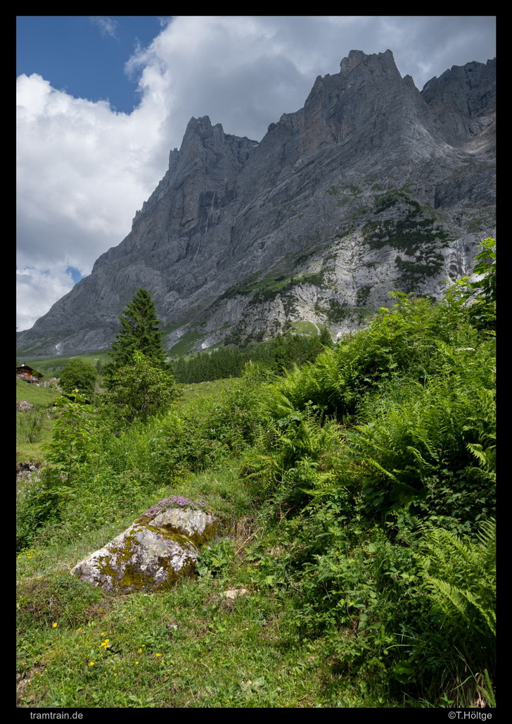 https://www.tramtrain-bilder.de/wp-content/Bilder/2025/T2025-06-23_036-Grosse-Scheidegg_DSO.jpg