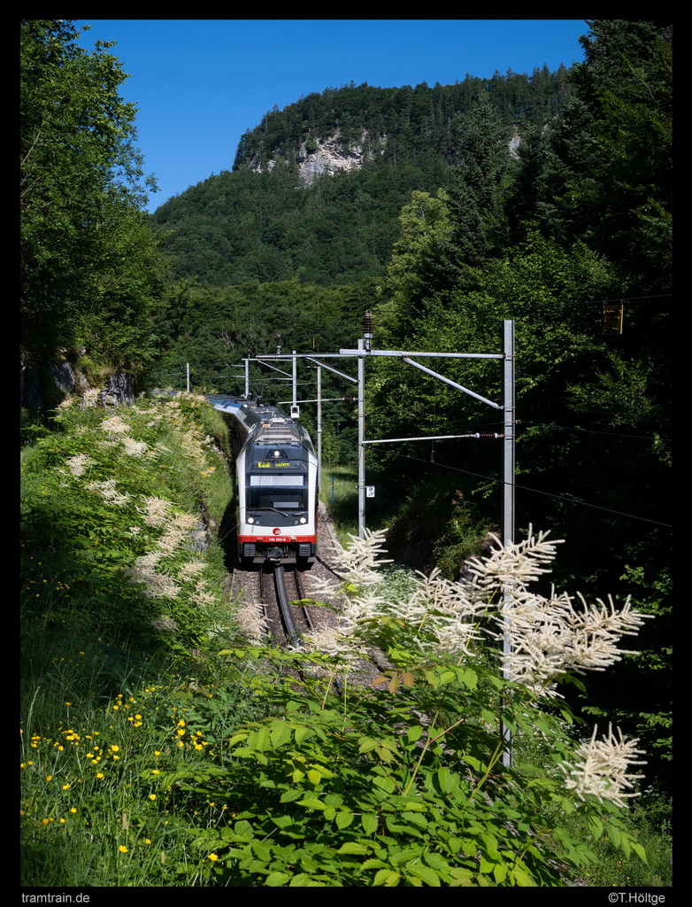 https://www.tramtrain-bilder.de/wp-content/Bilder/2025/T2025-06-24_005-zb-150-202-6-Bruenig-Hasliberg_DSO.jpg